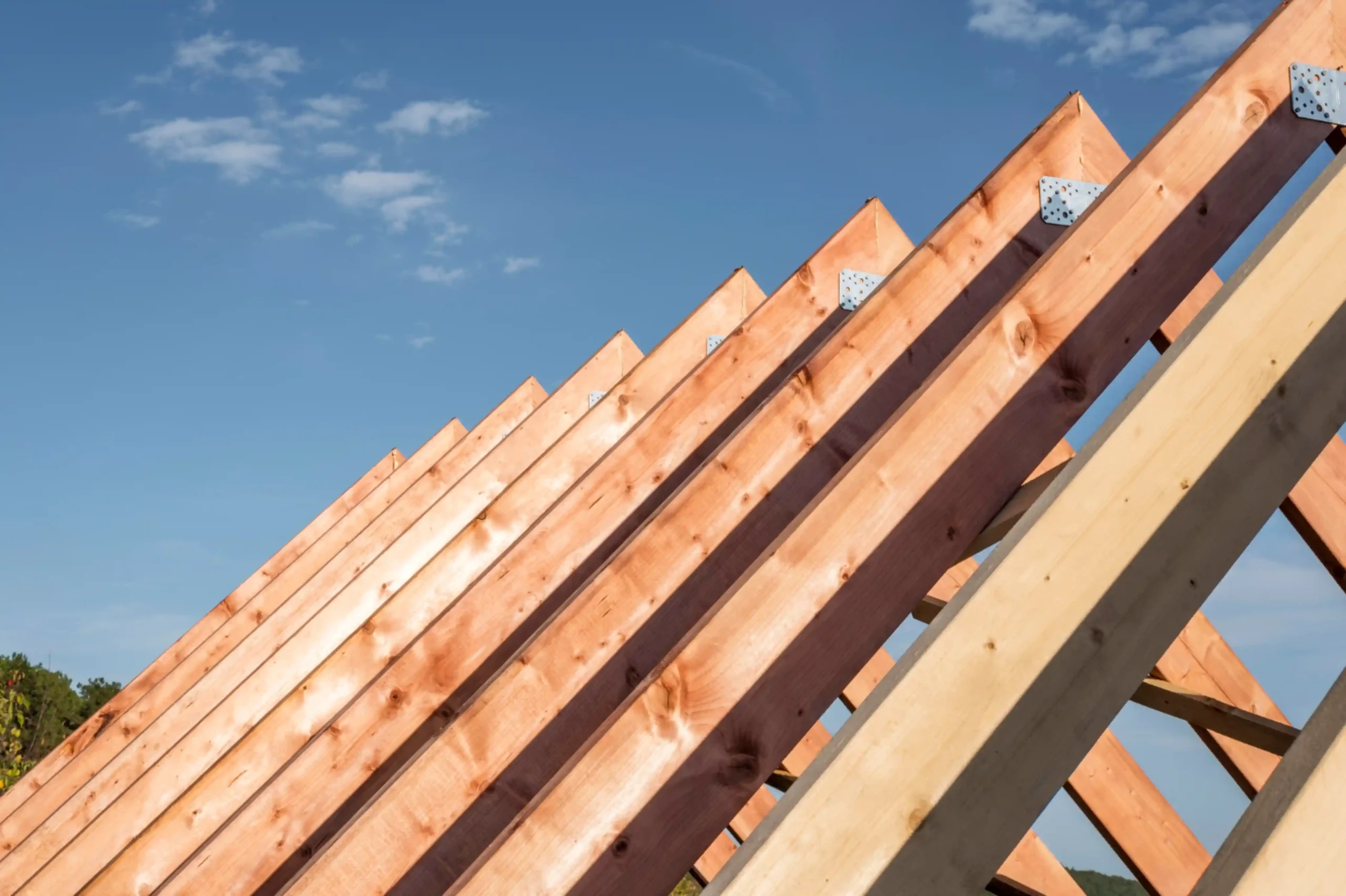Structure de charpente bois